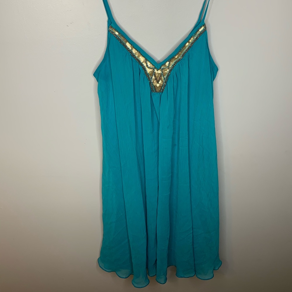 Express Chiffon Dress